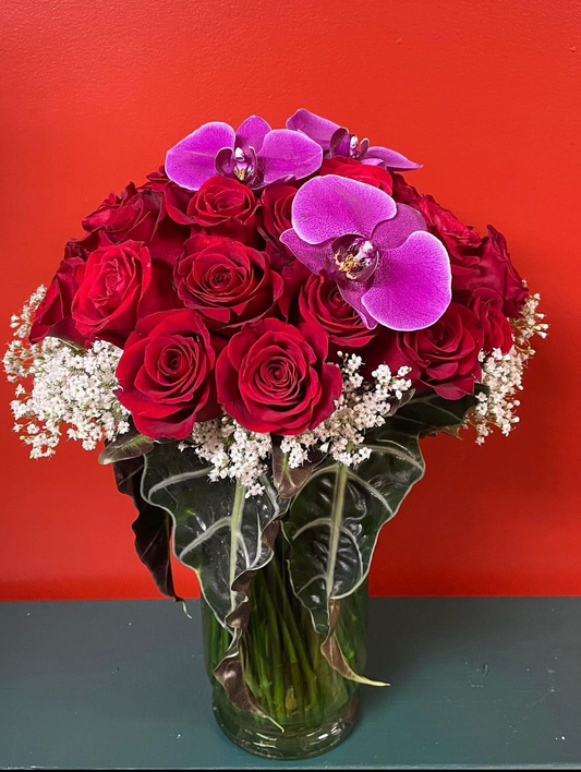 Velvet Orchid Romance