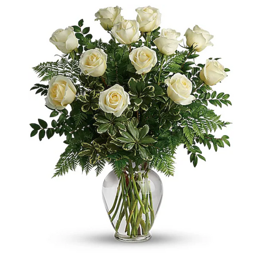 Ivory Elegance Roses