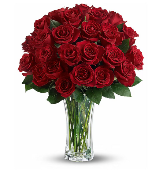Elegant Red Rose In Glass Vase