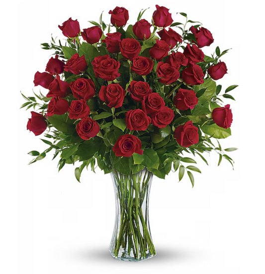 Timeless Red Roses