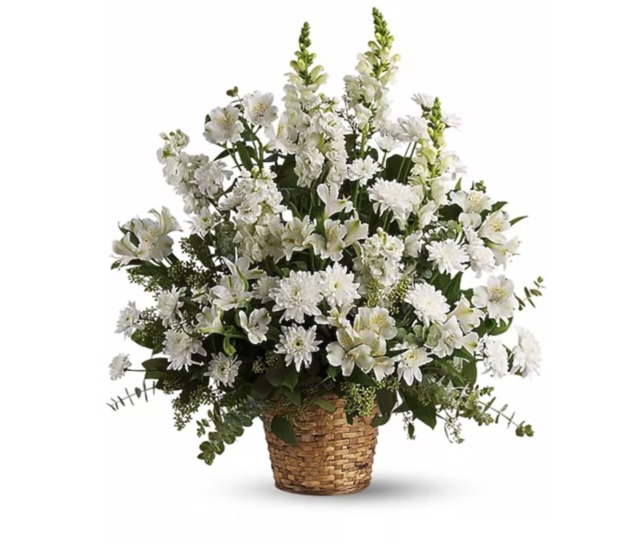 Graceful White Tribute