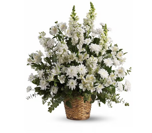 Graceful White Tribute