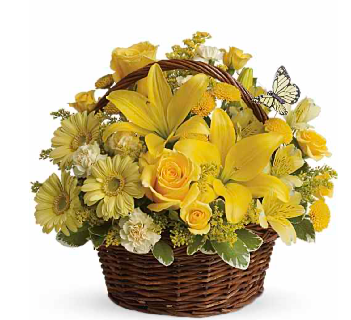 Butterfly Garden Blooms