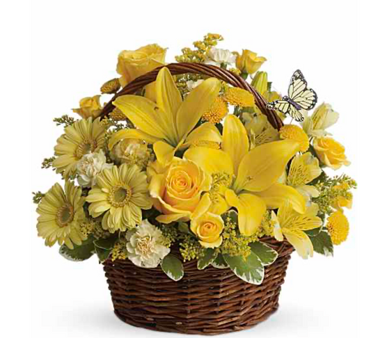 Butterfly Garden Blooms