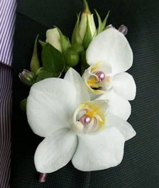 Double Orchid Pearl Boutonniere
