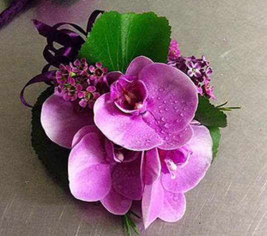 Orchid Amour Boutonniere