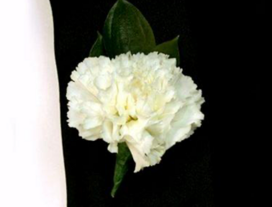 Classic Ivory Carnation Boutonniere
