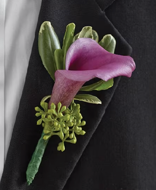 Plum Calla Elegance Boutonniere