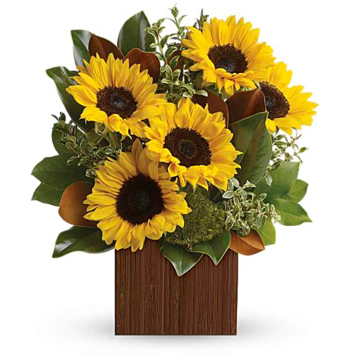 Sunflower Grove